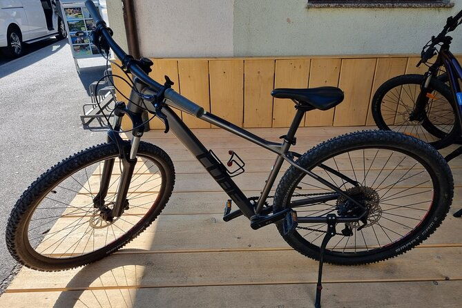 bled-bike-rental