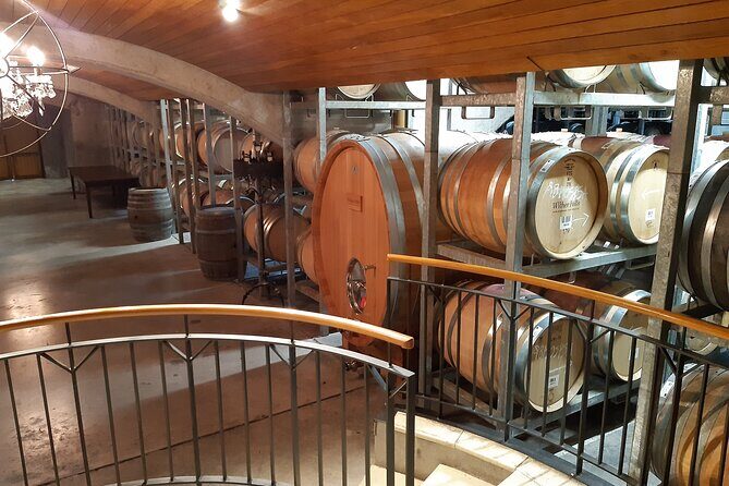 Blenheim Half day Wine Tour - Who is This Tour Best For?