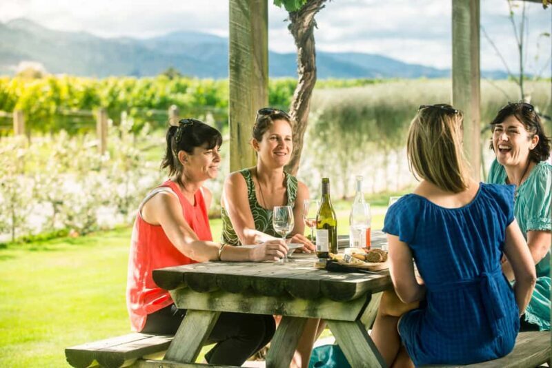 Blenheim/Renwick: Marlborough Half-Day Wine Tour with Lunch - Key Points