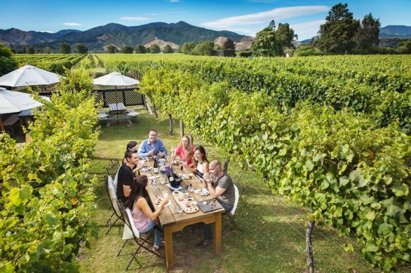 Blenheim/Renwick: Marlborough Half-Day Wine Tour with Lunch - An In-Depth Look at the Marlborough Half-Day Wine Tour