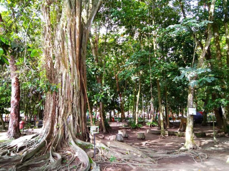 Blitar: Guided City Tour with Cycling and Toy Painting - An Authentic Dive into Blitar’s Heart