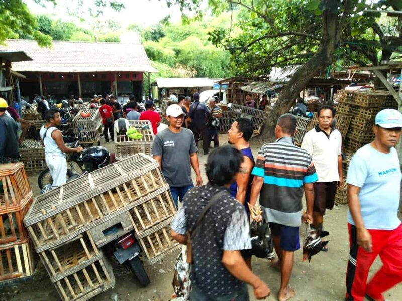 Blitar: Guided City Tour with Cycling and Toy Painting - Creative Hands-On Experience with Wooden Toy Painting