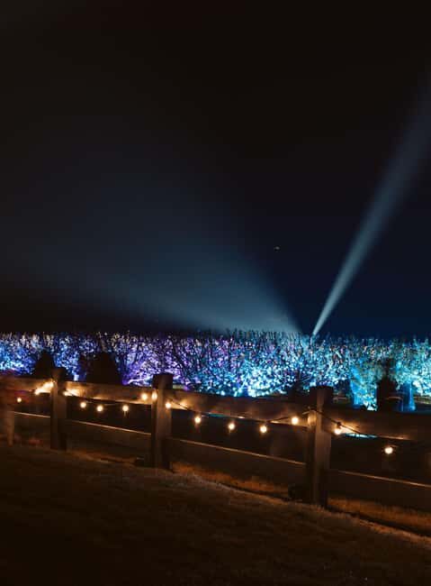 Blossom by Light at CherryHill - What Makes Blossom by Light Special?