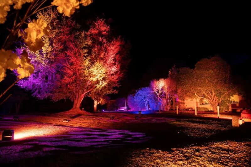 Blossom by Light at CherryHill - Who Is This Tour Best For?