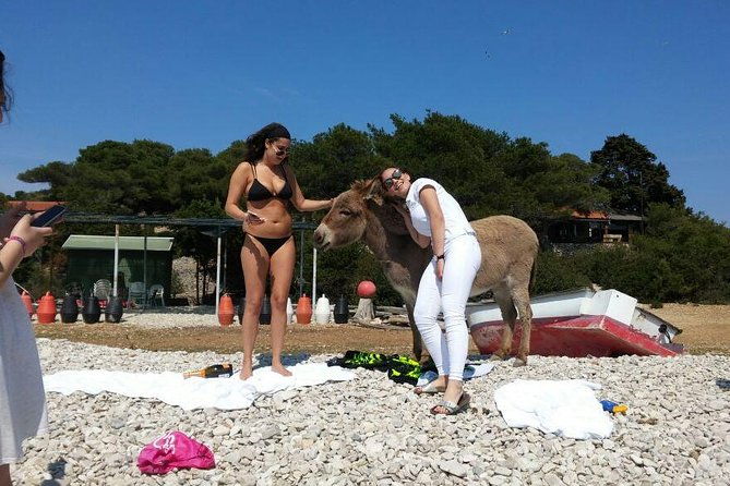 blue-cave-hvar-and-five-islands-small-group-tour-from-split