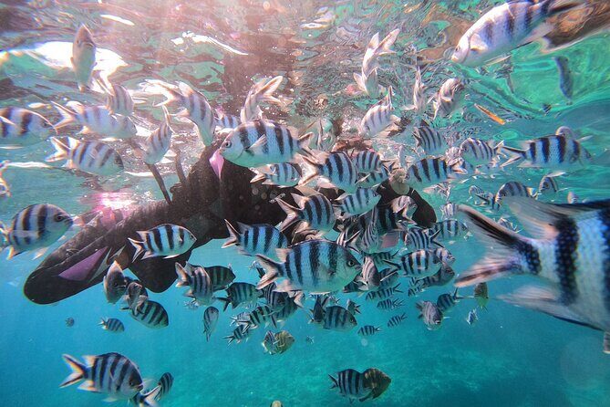 Blue Cave Private Snorkeling with Photoshoot - Photos and Memories: Capture the Moment