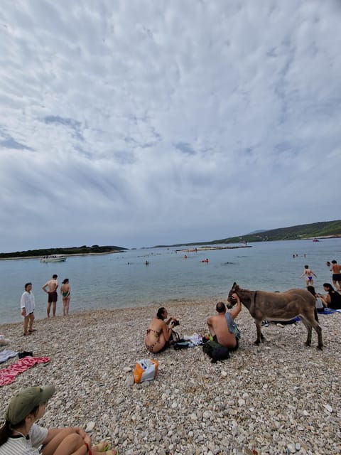 blue-cave-private-tour-from-hvar-2