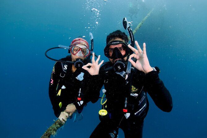 Blue Dive Private Guided Scuba Dive Cairns - Analyzing the Experience: What Sets It Apart?