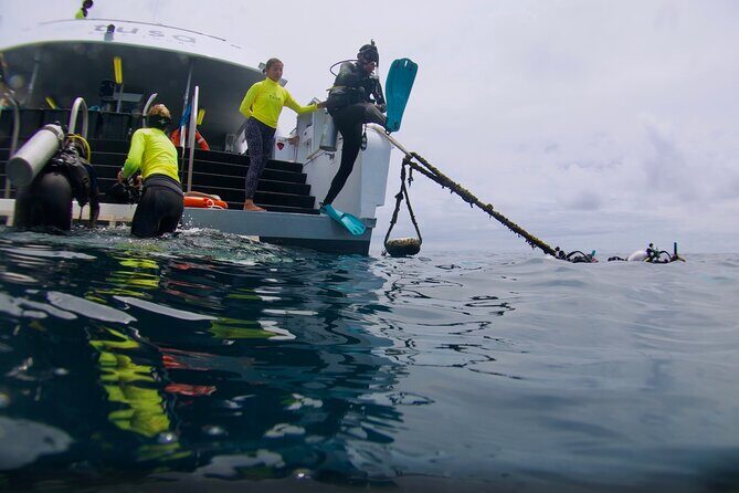 Blue Dive Private Guided Scuba Dive Cairns - The Value of a Private Guided Tour