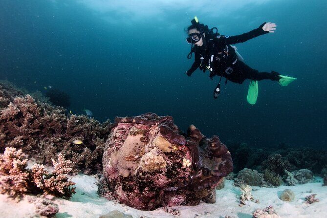 Blue Dive Private Guided Scuba Dive Cairns - FAQs