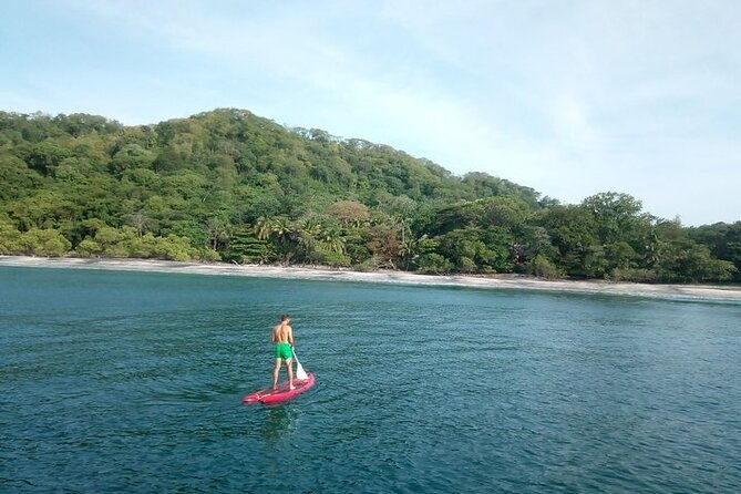 blue-dolphin-private-catamaran-tour