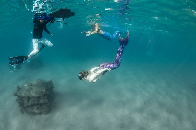 blue-heron-bridge-mermaid-experience