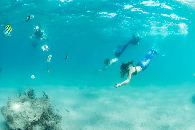 blue-heron-bridge-mermaid-experience