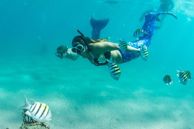 blue-heron-bridge-mermaid-experience