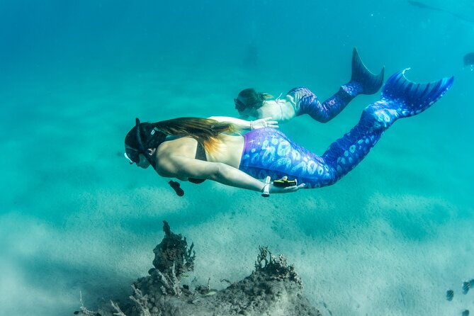 blue-heron-bridge-mermaid-experience