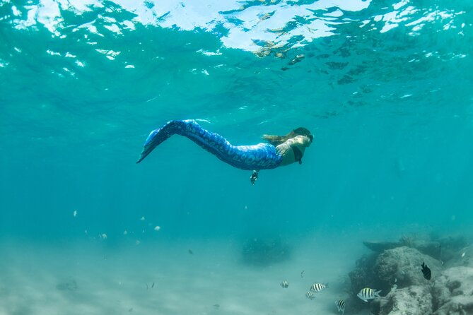 blue-heron-bridge-mermaid-experience
