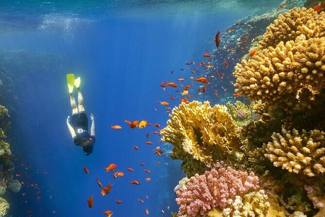 Blue Hole and 3 Pools Snorkel with Lunch from Dahab - Overview of the Tour Experience