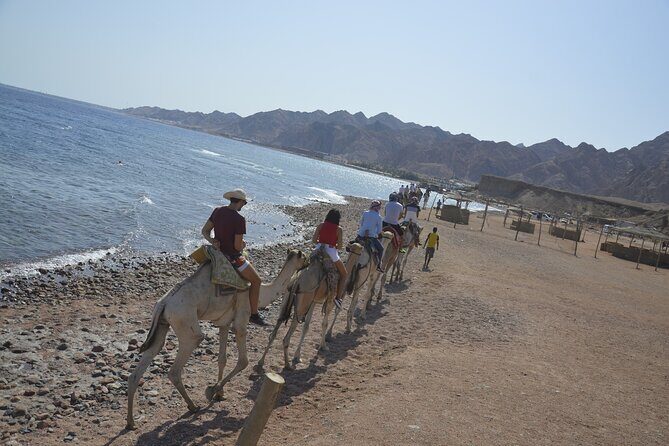 Blue Hole and Dahab City from Sharm El Sheikh - The Blue Hole Experience: Snorkeling and Underwater Beauty