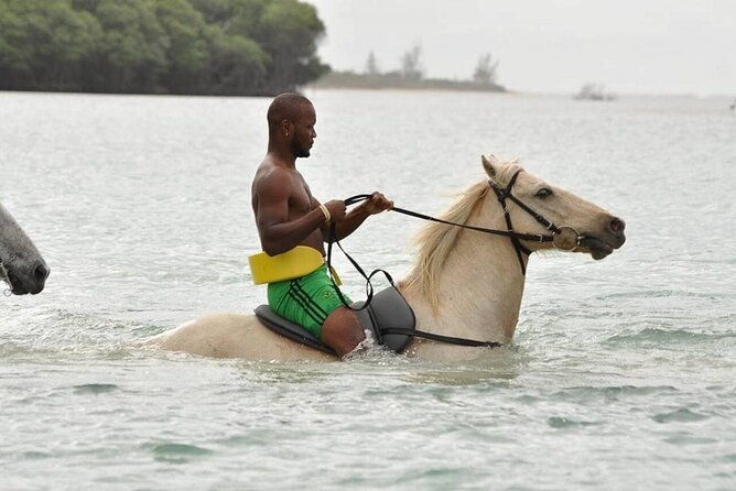 blue-hole-and-horseback-riding-from-runaway-bay