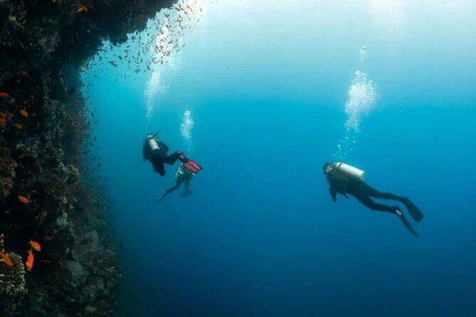 Blue Hole & Dahab city Trip Day from Sharm El-Sheikh - Key Points