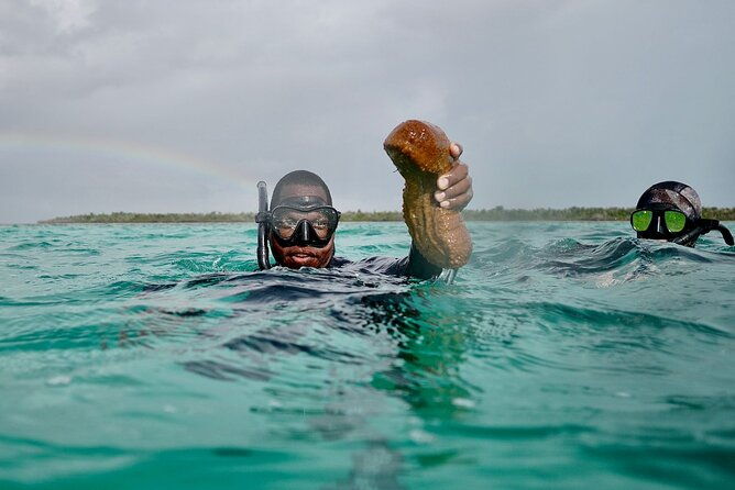 blue-hole-drift-snorkeling-and-turtles