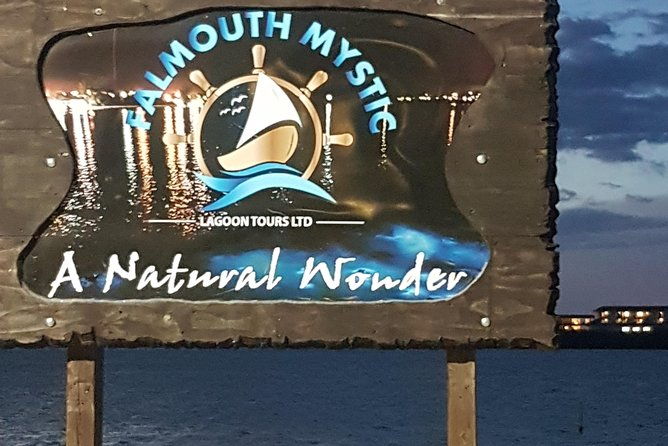 blue-hole-dunns-river-falls-luminous-lagoon-excursion-from-montego-bay