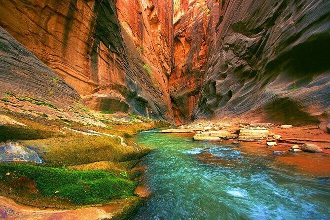Blue Hole National Park, Canyon By Bus, Camel Ride, BBQ Lunch, - Sharm El Sheikh - Who Would Love This Tour?