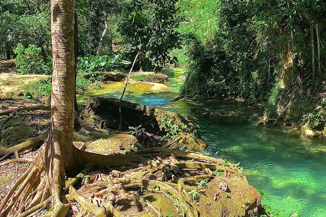 blue-hole-ocho-rios-day-trip-from-montego-bay