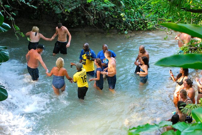 blue-hole-plus-secret-falls-and-dunns-river-falls-combo-from-falmouth-hotels