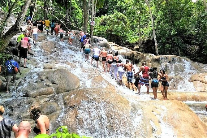 blue-hole-secret-falls-and-dunns-river-falls-combo-day-trip