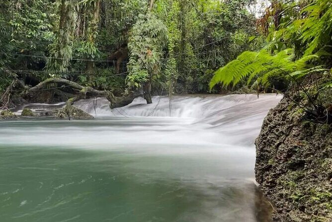 Blue Lagoon & Eden on the River - Half Day Trip with Yumi Tours - The Practicalities: What to Expect