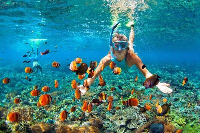 Blue lagoon Private Snorkeling Adventure Bali - The Experience: What You Can Expect from Start to Finish