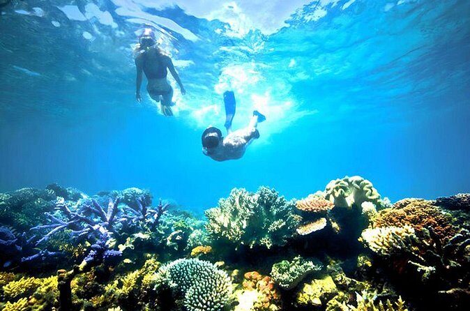 Blue lagoon Private Snorkeling Adventure Bali - Frequently Asked Questions