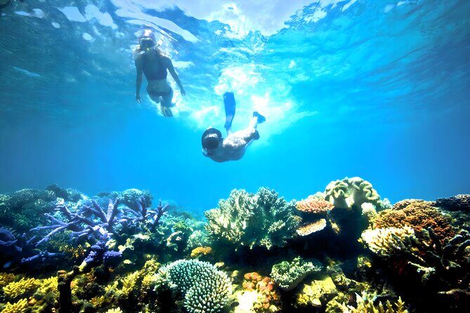 Blue Lagoon Snorkeling and Ubud Waterfall Tour - Blue Lagoon Snorkeling: Calm Waters and Vibrant Reef Life