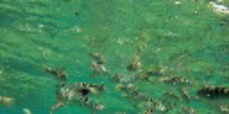 blue-lagoon-snorkeling-candidasa-hidden-activities