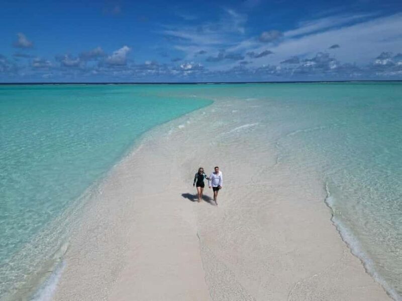 Blue Lagoon Snorkeling, The Rock, Kuza Cave, Mnemba Island - Who Is This Tour Best Suited For?