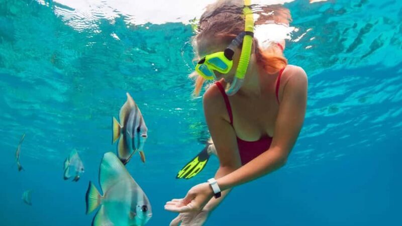 Blue lagoon Snorkeling Tour with Lunch & Private Transfers - The Practical Breakdown of the Tour