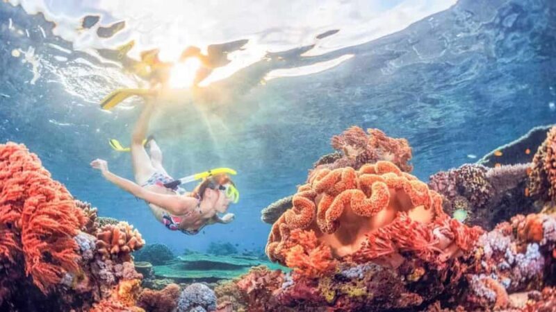 Blue lagoon Snorkeling Tour with Lunch & Private Transfers - Who Will Love This Tour?