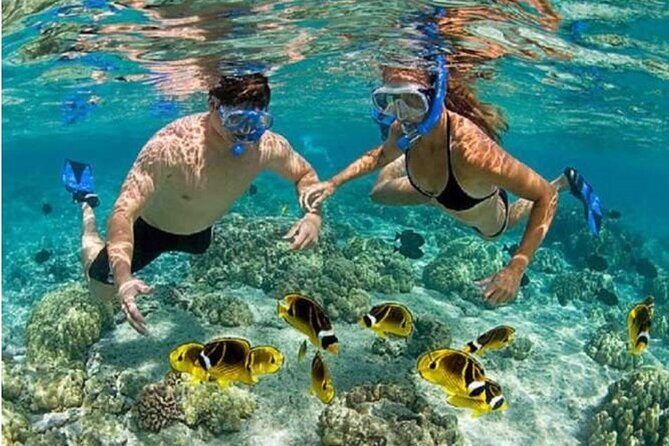 Blue Lagoon Snorkling activities - An In-Depth Look at the Blue Lagoon Snorkeling Experience