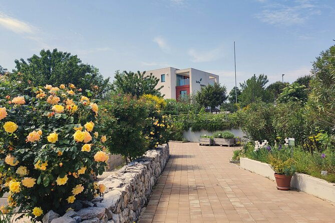 blue-line-tour-with-salona