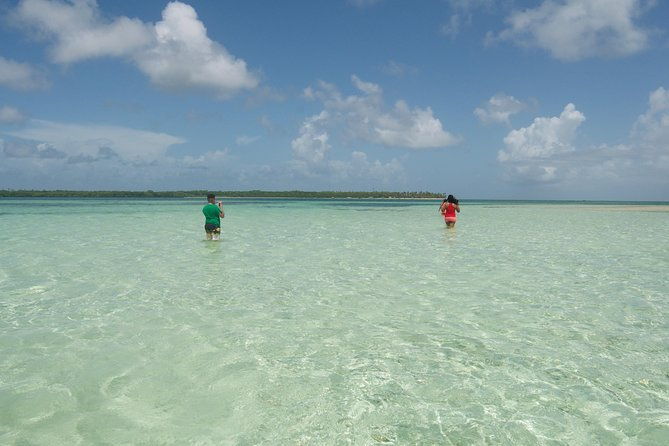 blue-mango-hole-healing-hole