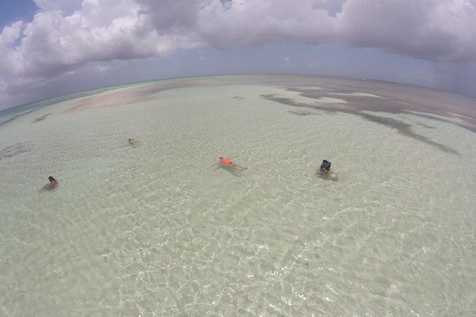 blue-mango-hole-healing-hole