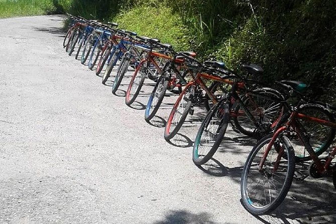 blue-mountain-bicycle-tour-from-montego-bay