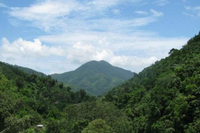 blue-mountain-bicycle-tour-from-runaway-bay