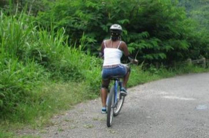 blue-mountain-bicycle-tour-from-runaway-bay