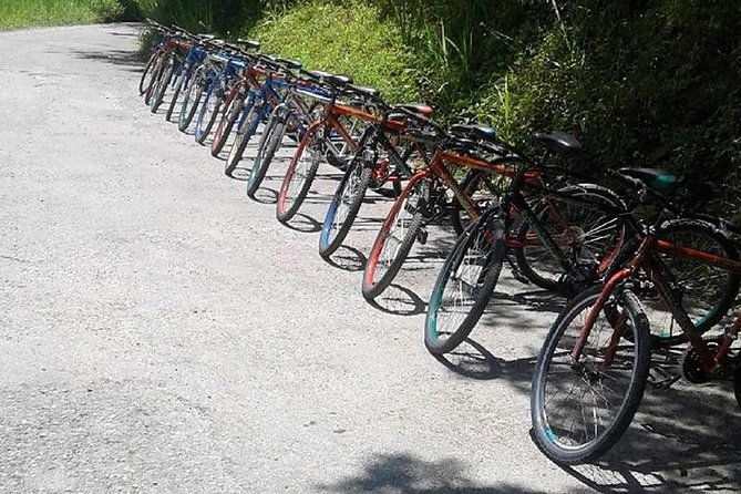 blue-mountain-bicycle-tour-from-runaway-bay