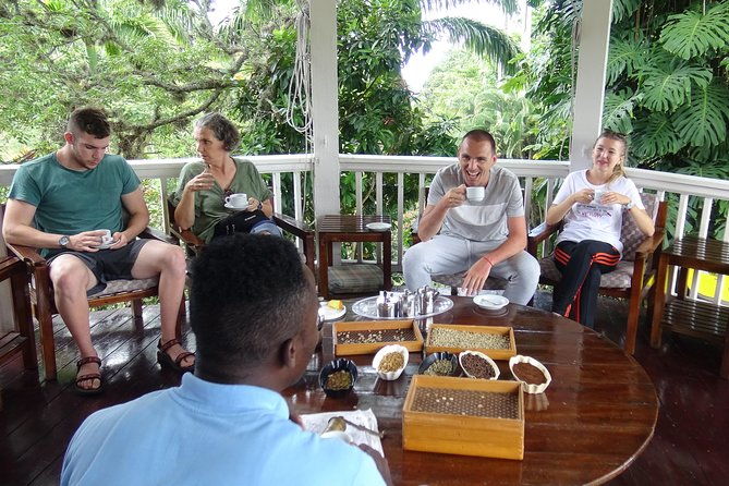 blue-mountain-coffee-and-sightseeing-tour