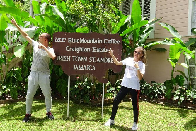 blue-mountain-coffee-and-sightseeing-tour