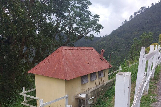 blue-mountain-sight-seeing-nature-trail-hike-with-private-guide