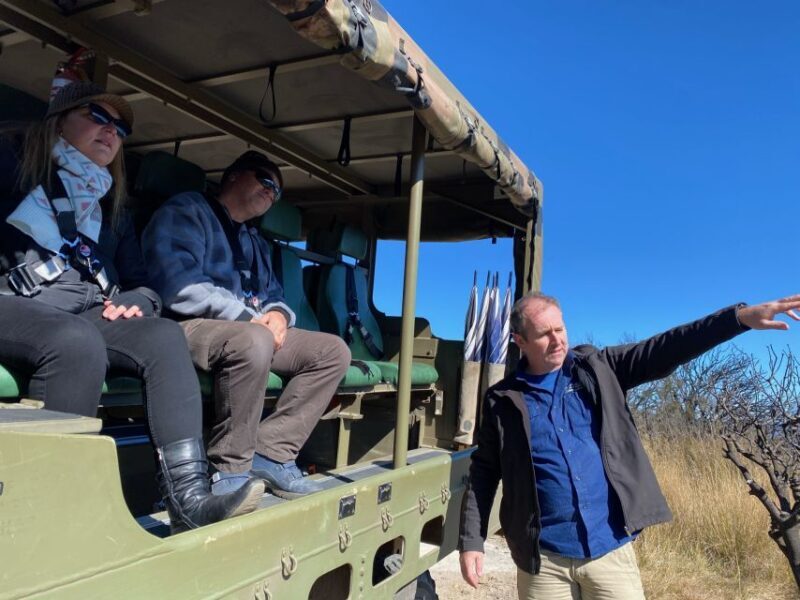 Blue Mountains 3 Hour Army Truck Adventures - Who Should Consider This Tour?